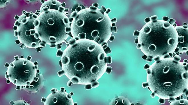 Il Coronavirus non ferma l’Insubria