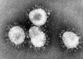 Coronavirus, Fsi-Usae Sicilia: “Nessun allarmismo ma massima attenzione
