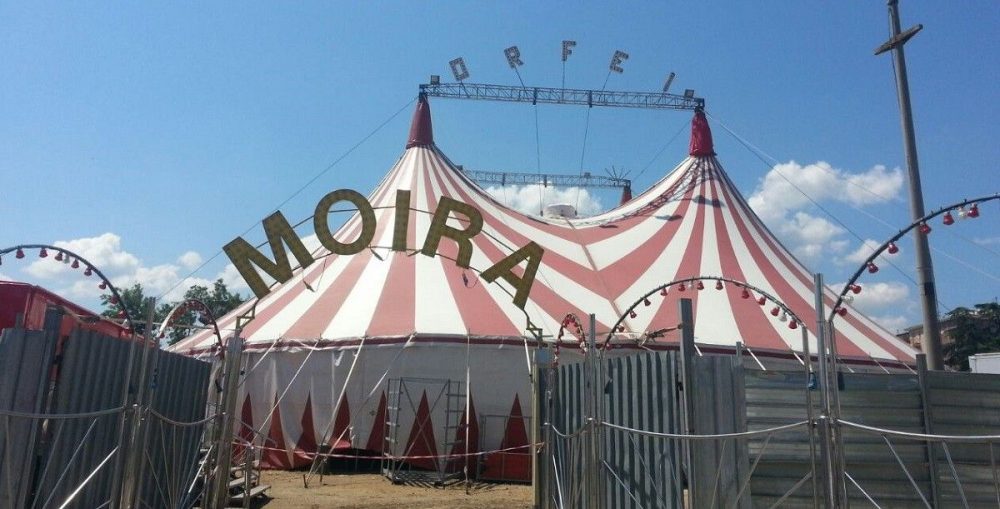 Gallarate: il circo di Moira Orfei bloccato dal #coronavirus