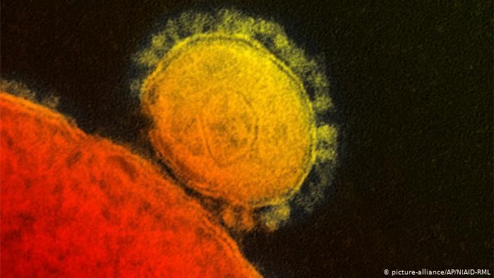 Da dove viene il coronavirus? Quanto dura sulle superfici?