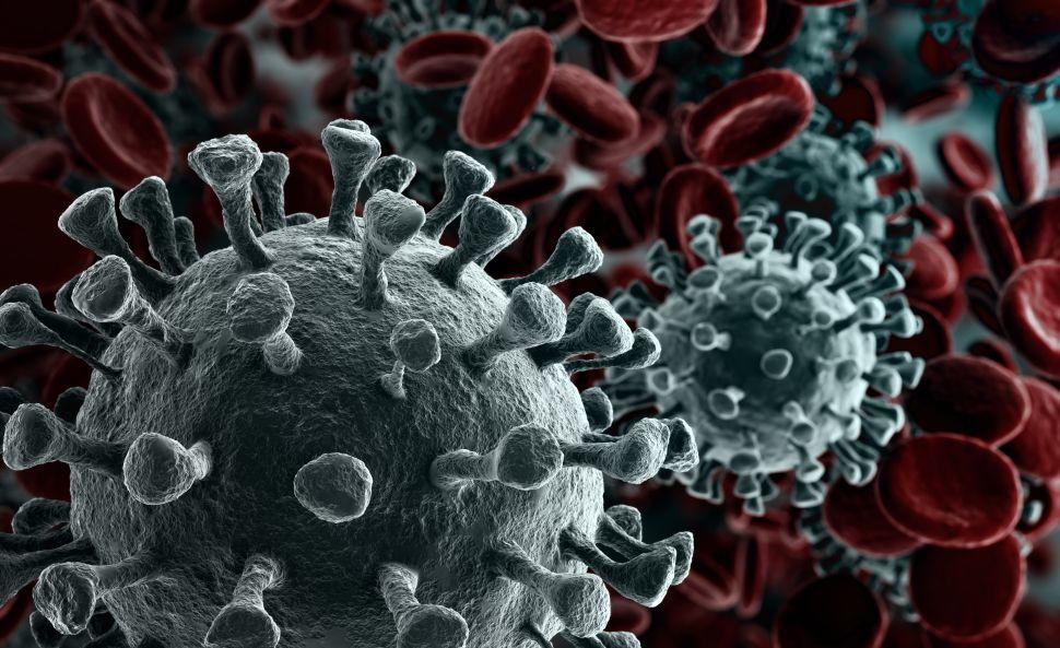 Coronavirus, avvisati il 5 gennaio l'annuncio dell'OMS