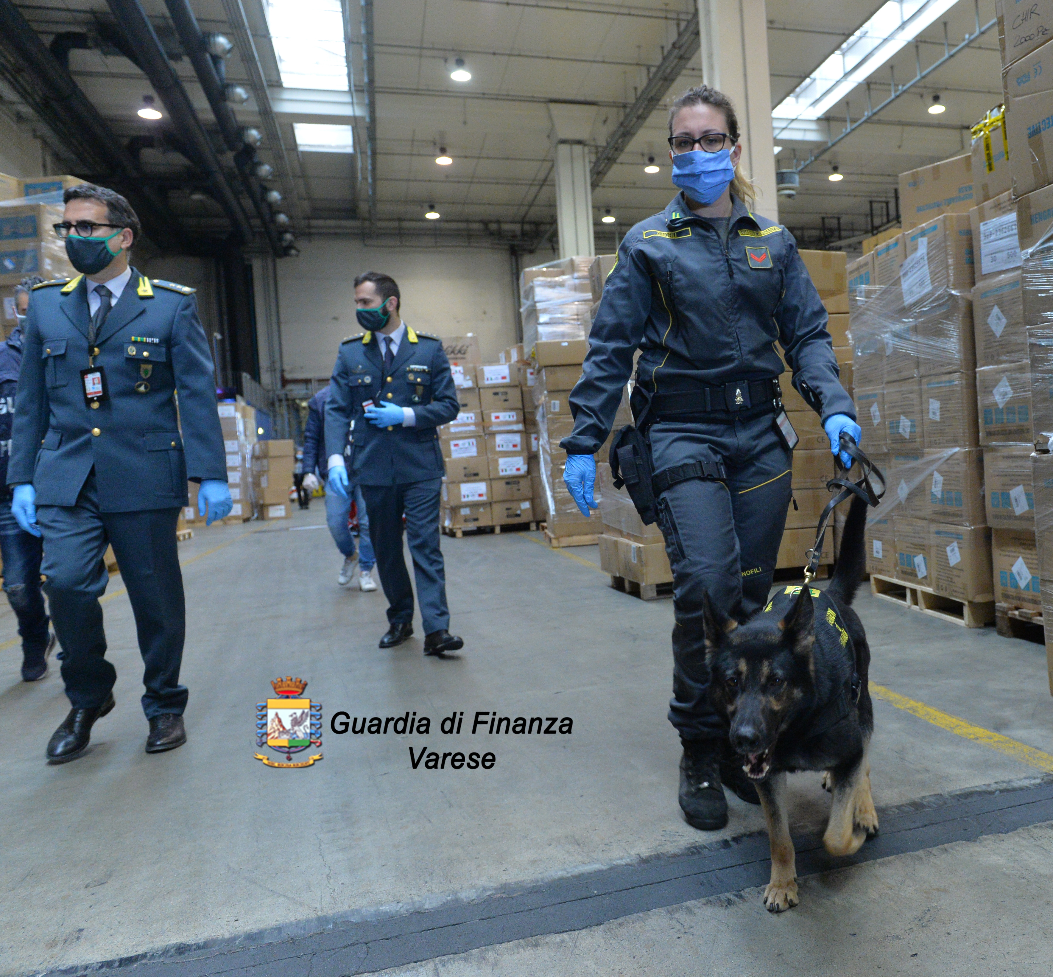 Malpensa/Cargo.Finanza e Dogana: maxi sequestro di droga, 150 kg.